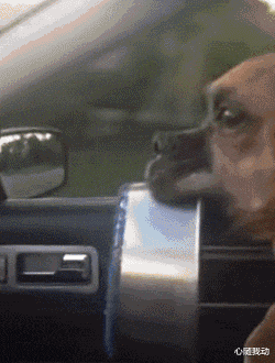 |“新来的老板娘，每天午睡都来办公室，”要不要提醒她一下呢……