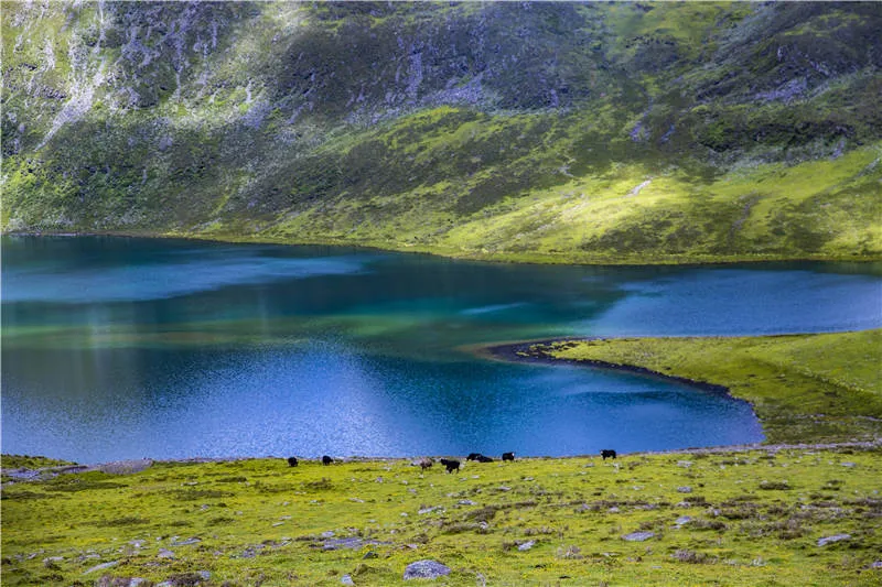 「川西」莫斯卡12湖，川西的海子究竟有多美？