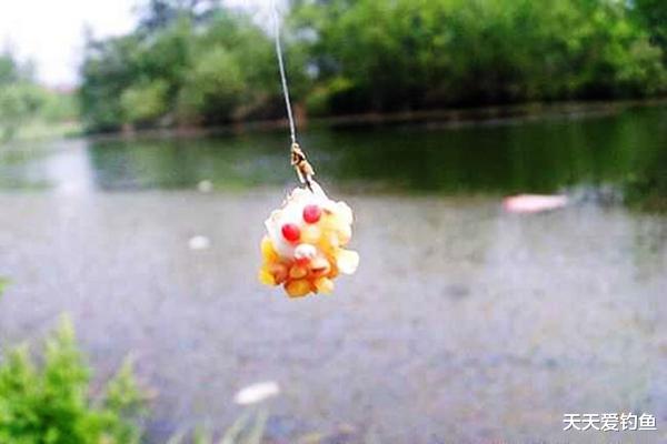 ▲细说七星漂睡钩钓法的4大优势,野钓鱼情多变,这种钓法简单好用