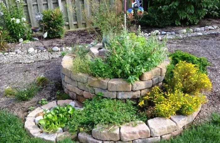 「多肉植物」7个非常棒的庭院园艺创意，让你的养花生活更加精彩