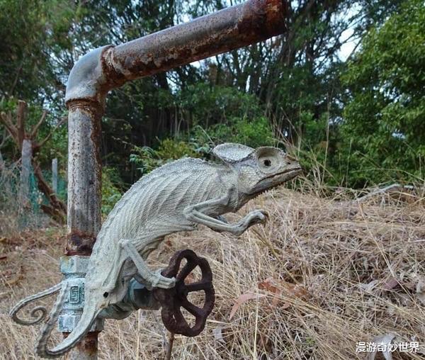 「」大自然可怕的一面，看得身体发凉！