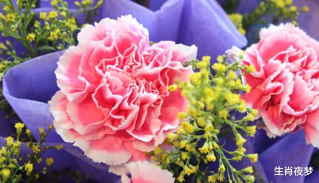 金牛座▲5月,喜从天降,桃花运紧随,3生肖喜获旧情人回归,爱情重新启航