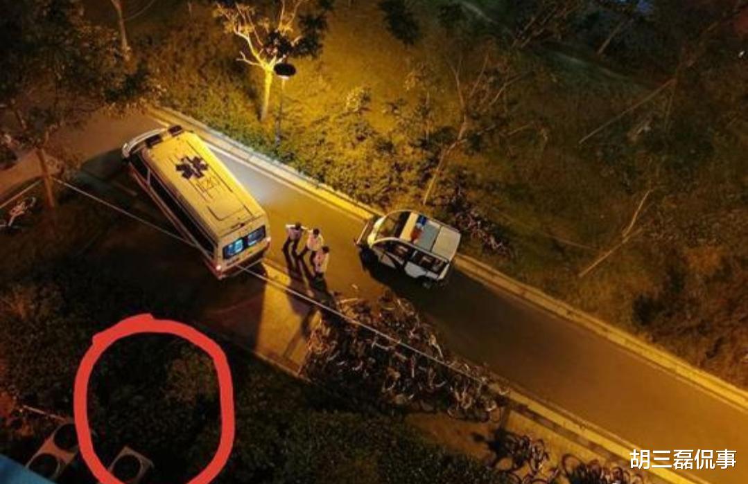 南京大学|“南京大学女博士坠亡”后续，生前最后一条朋友圈曝光