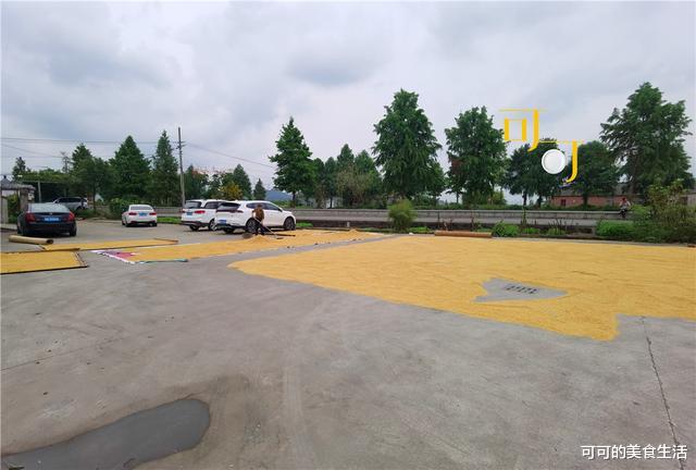 余姚|国庆假期去余姚探访黄宗羲故居,吃一顿牛味馆,两人95元没吃饱