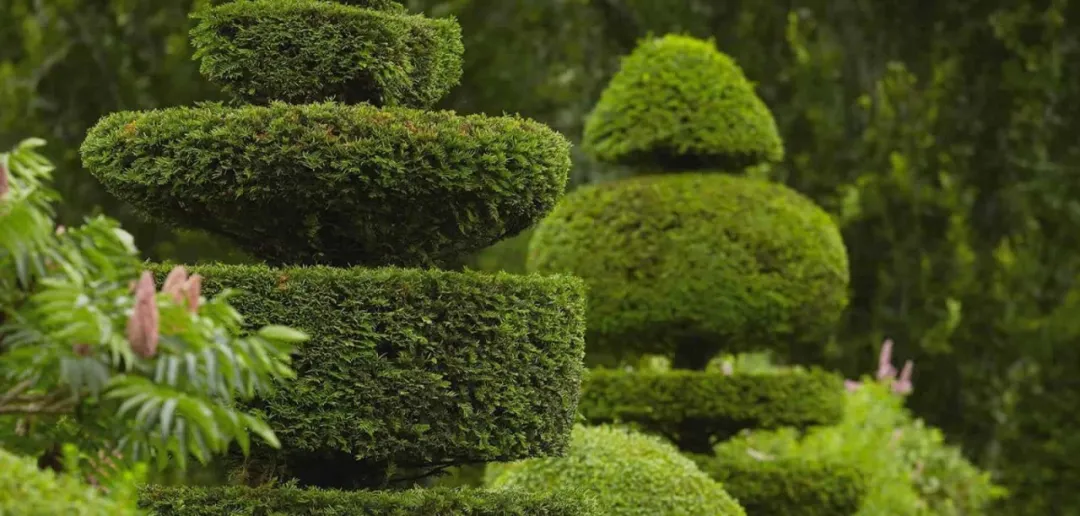 money|Old Money最爱的庭院，原来是这样设计的？！