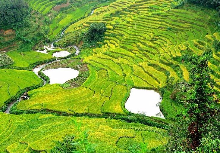 [鸡蛋]2020年，农村外嫁女有福了，5项权益等你领取，你领到了吗？