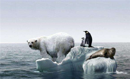 「霍金」霍金提出三大预言,如今已实现了一个,看到另外两个后背一阵发凉