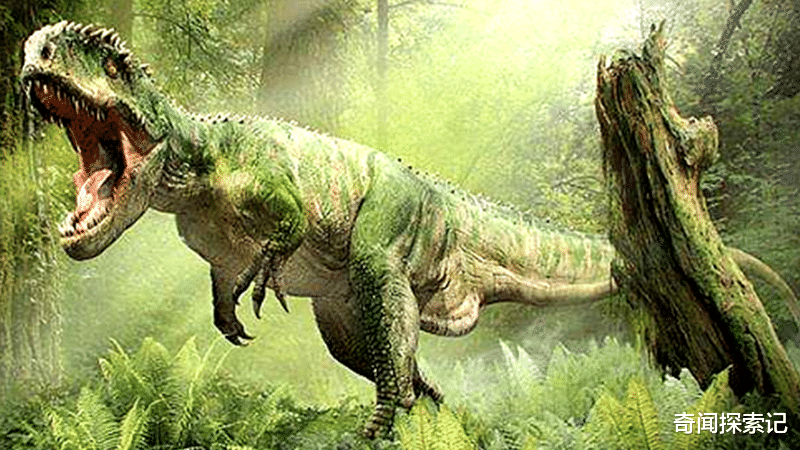 霸王龙|专家在霸王龙头骨上发现弹孔,是外星人所致还是史前就存在高级文明呢?