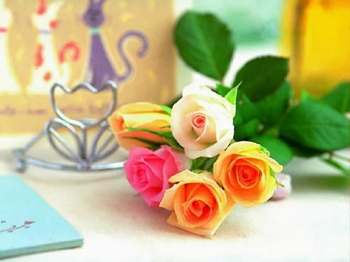 水瓶女:最难把自己嫁出去,容易成为大龄剩女的三大星座