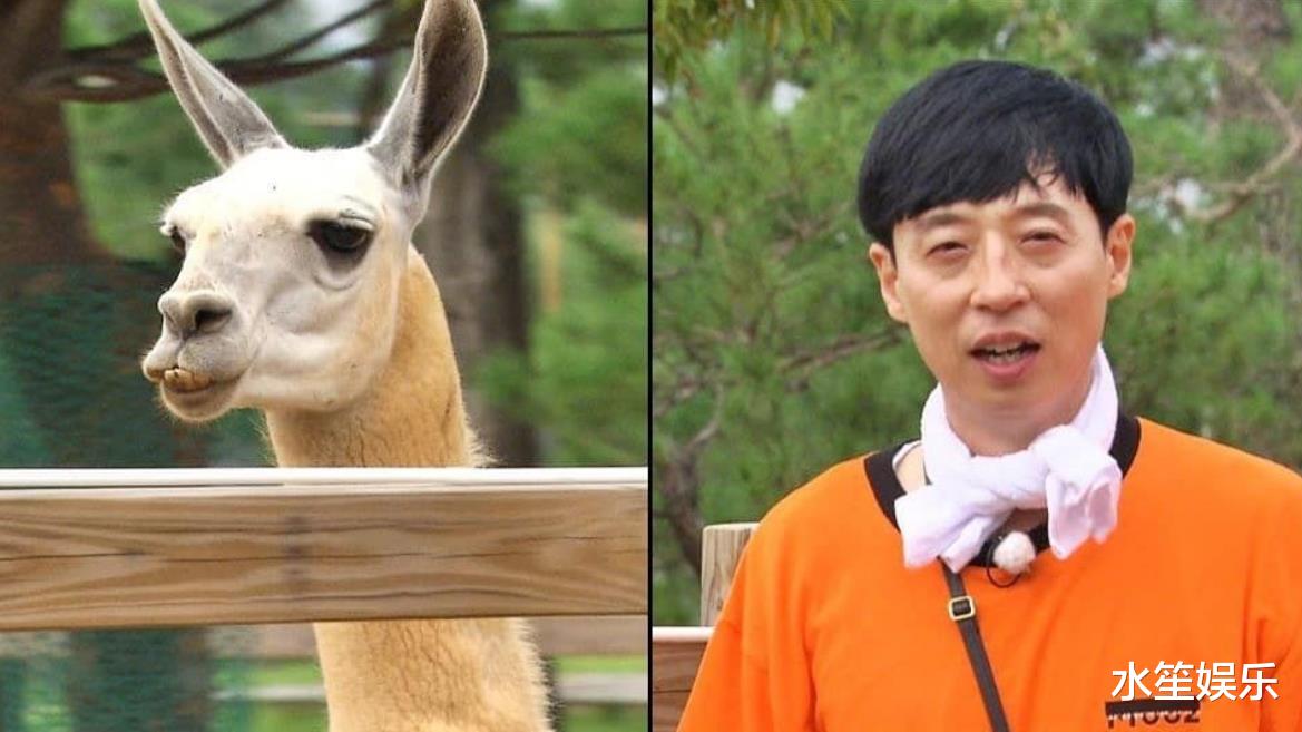 runningman|《Running Man》迎来十周年，助刘在石创下韩综历史新纪录