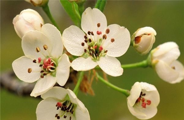 「星座女」四月初爱意萦绕心头，3星座大胆追爱，幸福美满