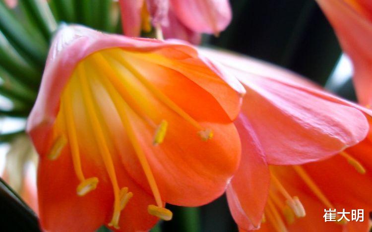 运势|7月下旬，4大生肖运势大红大紫，财运连旺，好运不断！