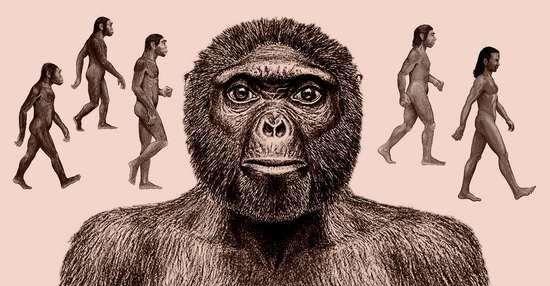 科学家|人类失去进化能力了？科学家模拟进化，发现人类未来更可怕