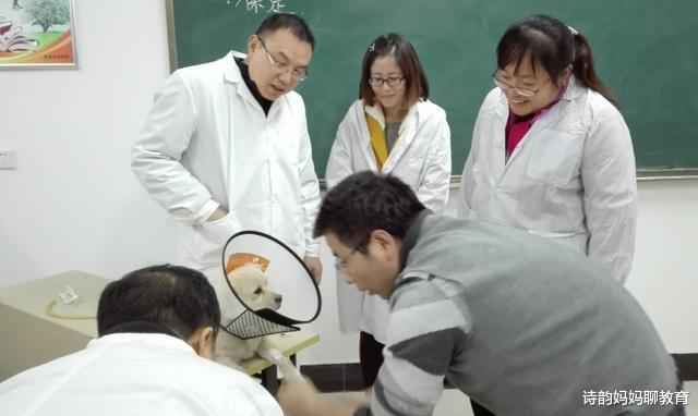 大学|未来10年，这5个专业会很“吃香”，就业前景广阔