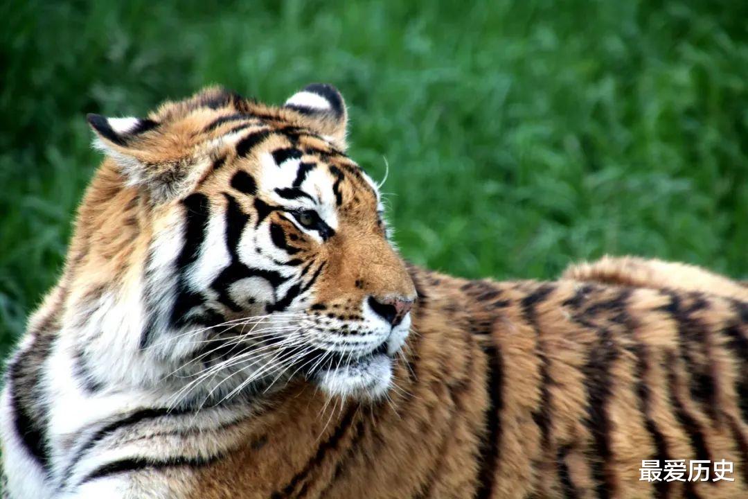 秦岭|中国的中央山脉，在哪里？