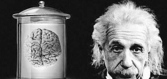 『科学家』科学家与正常人有何不同？看看他们留下的器官，就非常明白了！