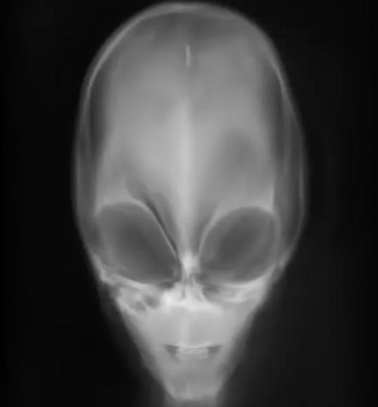 外星人■就在我们身边的5个外星种族，可能每天都和你联系