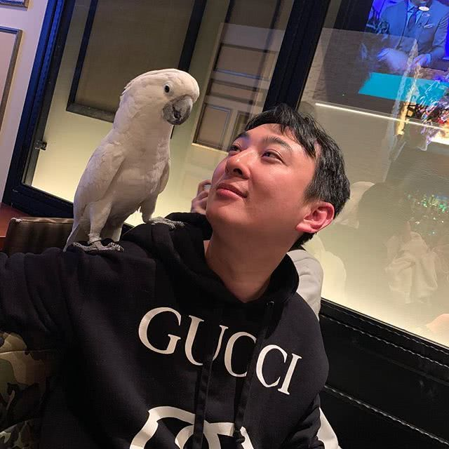 「王思聪」王思聪到底多有钱？深夜晒宠物照片，网友：羡慕嫉妒恨
