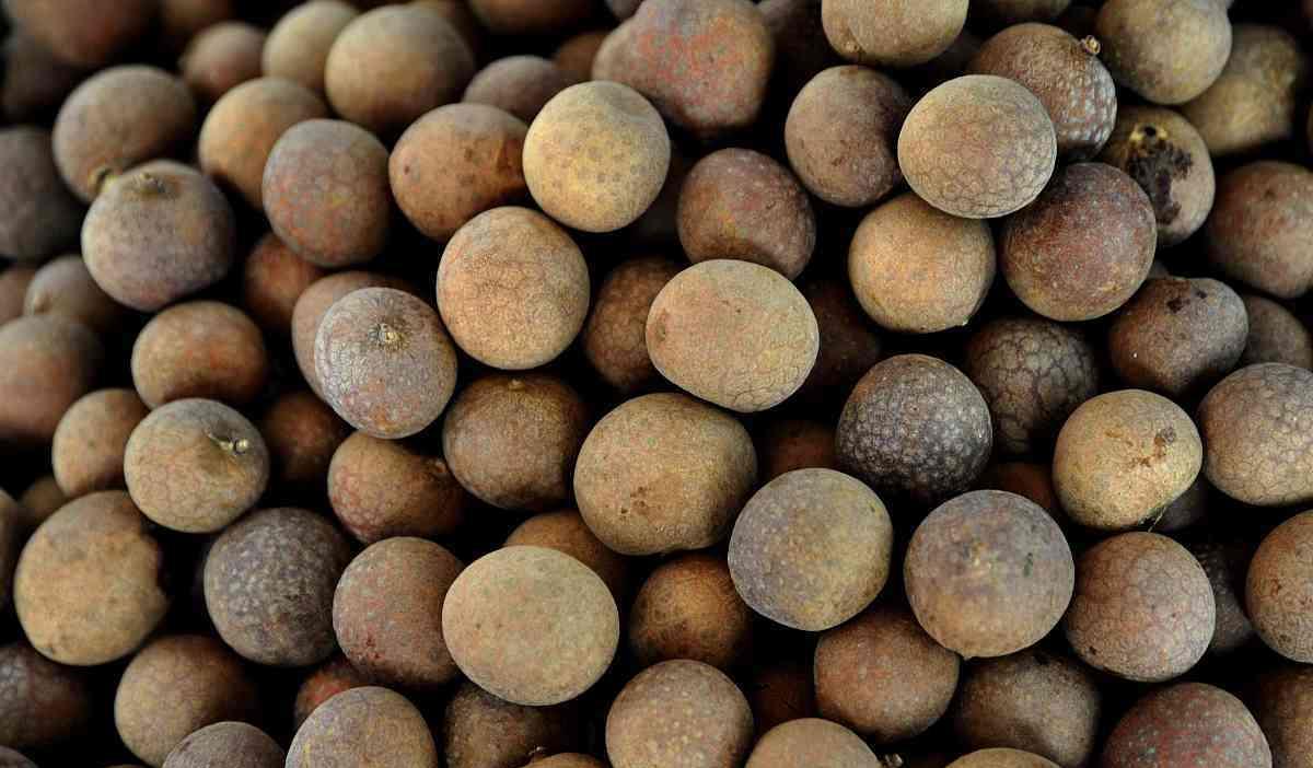 糖尿病|这东西，人称食物“胰岛素”，放开吃，血糖回归正常，防止并发症