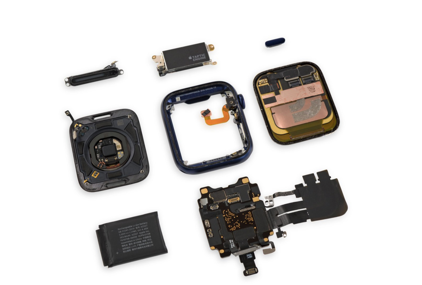 |Apple Watch 6拆解出炉!马达体积大得过分