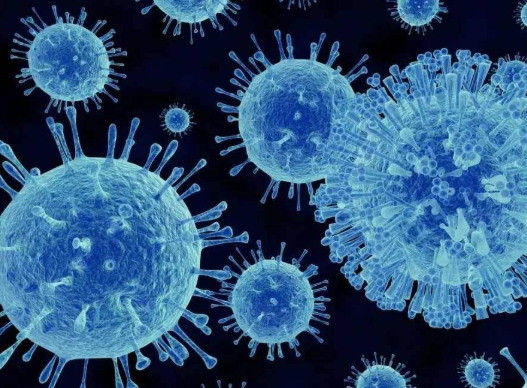 「墨子号」新冠病毒席卷全球，男性比女性更容易感染？科学家研究后得出结论