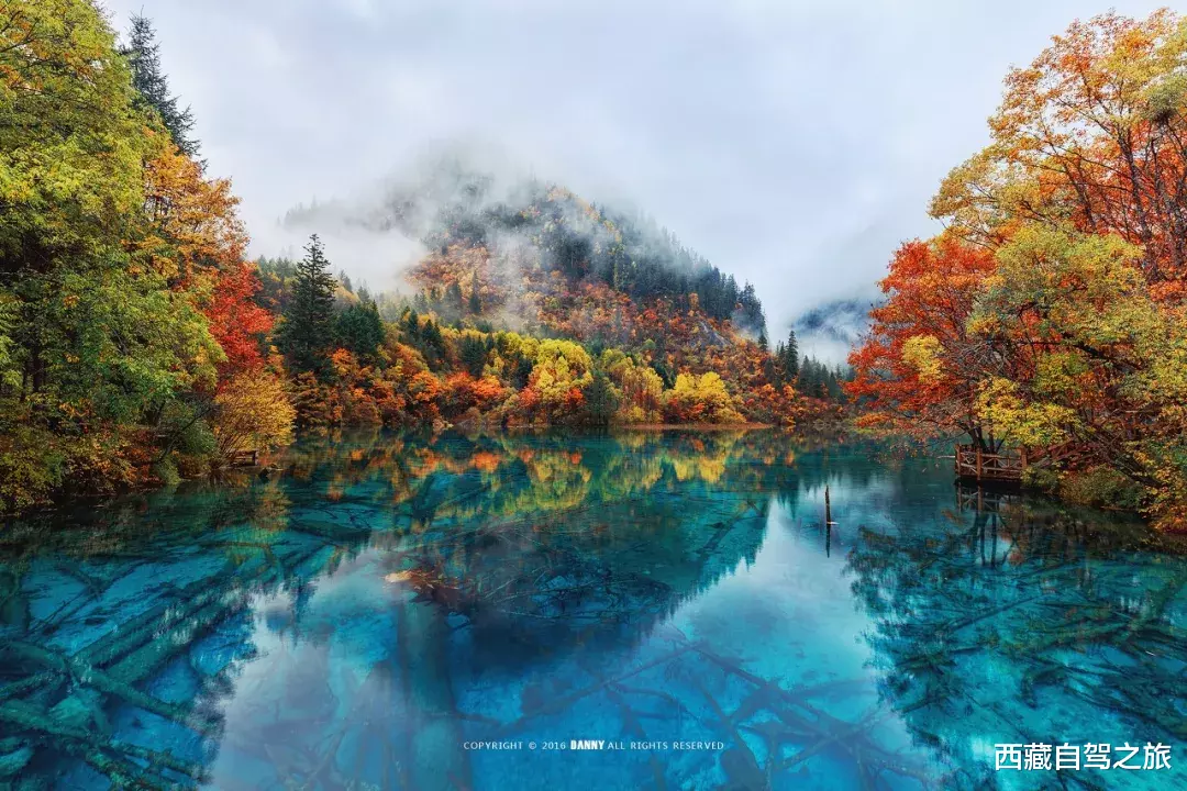 若尔盖|景 | 再过一个月，来看世间醉美的秋天！