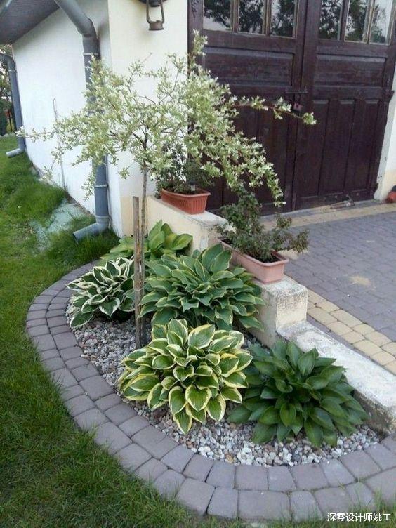 |院子好不好看跟面积无关,你看墙角简单垫2块石,也非常有意境