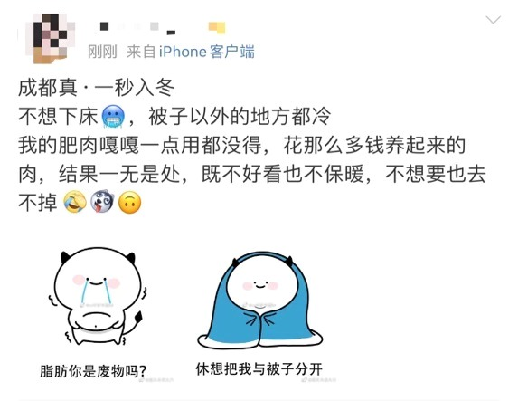 成都|冷冷冷，最高温仅8℃！真一秒入冬！成都这个地方已经下雪了