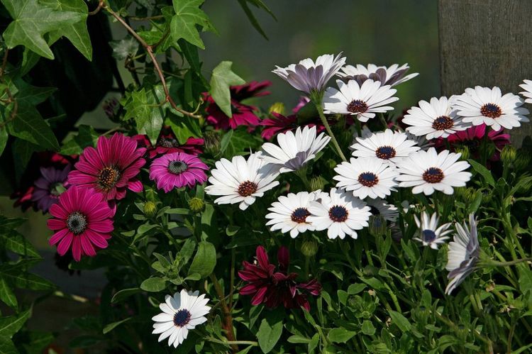 [生肖]别人穷，他们发！3生肖5月财库大开，豪气冲天，黄金万两！