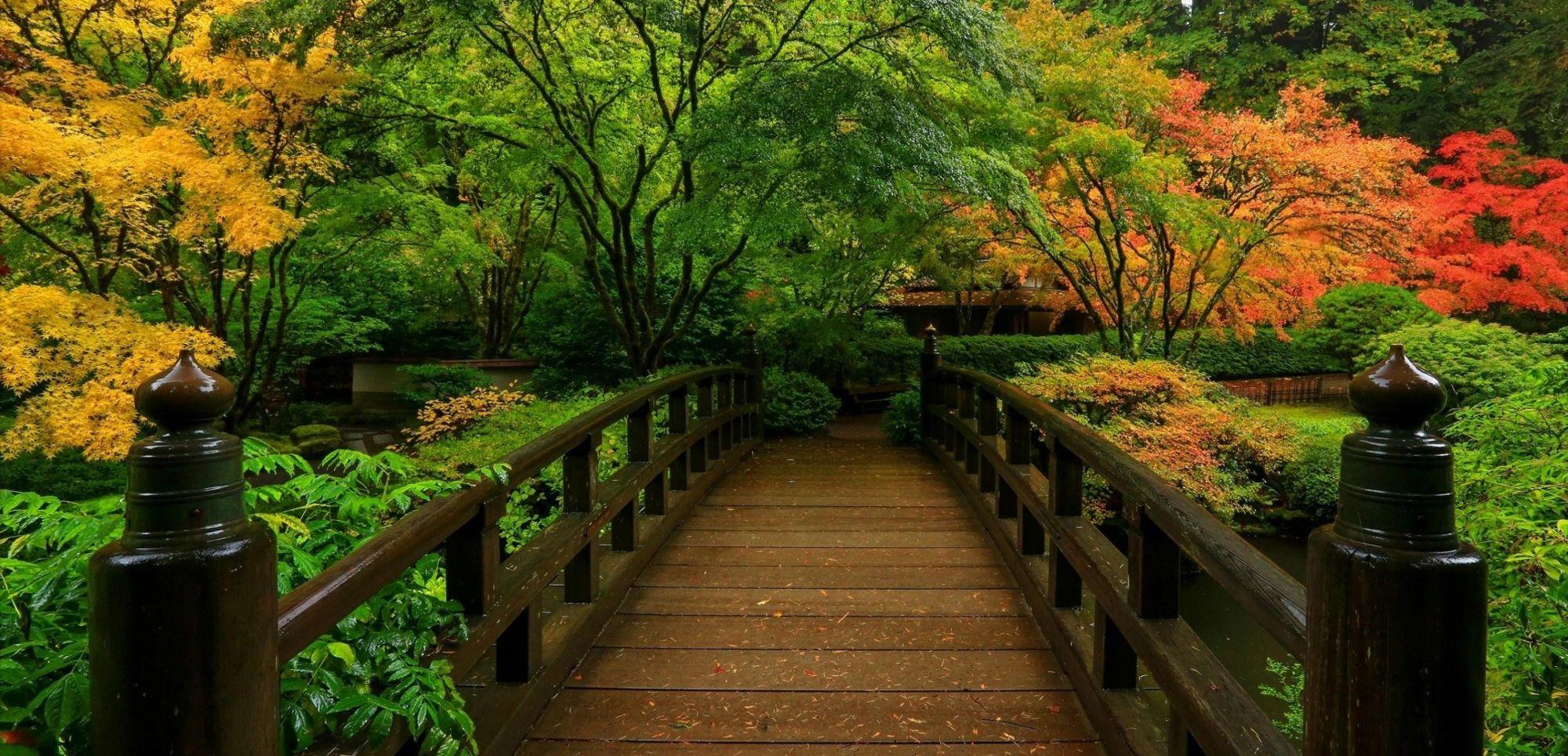 旧爱|九月末，秋分时节，星河长明，三星座桃花重启，扑进旧爱怀里