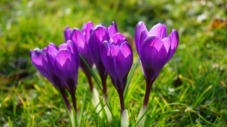 处女座|九月开始，桃花浮现，真爱降临，拥有忠贞不渝的爱情的四大星座！