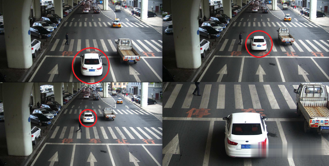 掌上长春|最新！长春这些人被曝光！