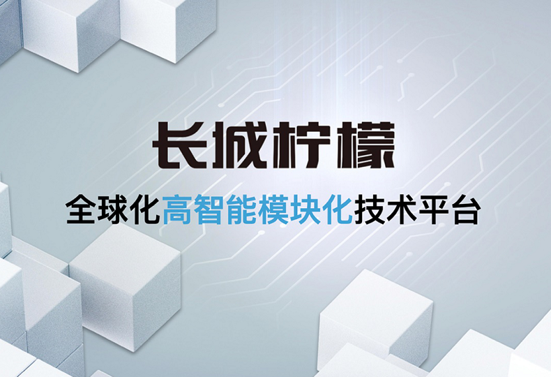 魏建军|长城坦克3.0T+9AT，是魏建军交给国产汽车的，定心丸和催化剂