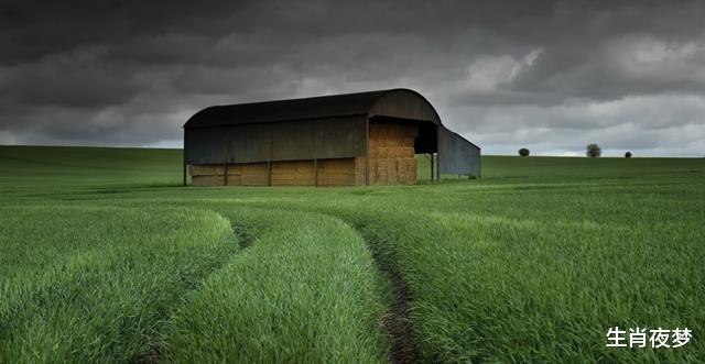 『生肖』5月下旬，桃花开不败，旧情要归来，3生肖忘不掉，恨不了，只能爱