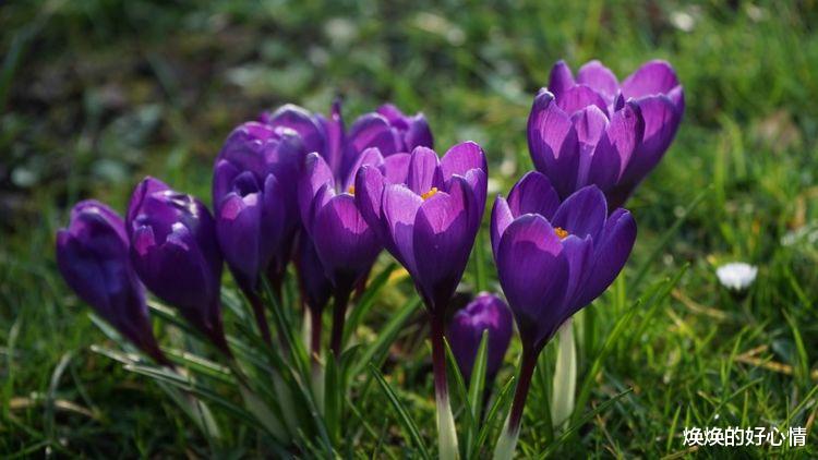 旧爱|9月初，桃花出现，旧爱变真爱，定能天长地久的4大星座