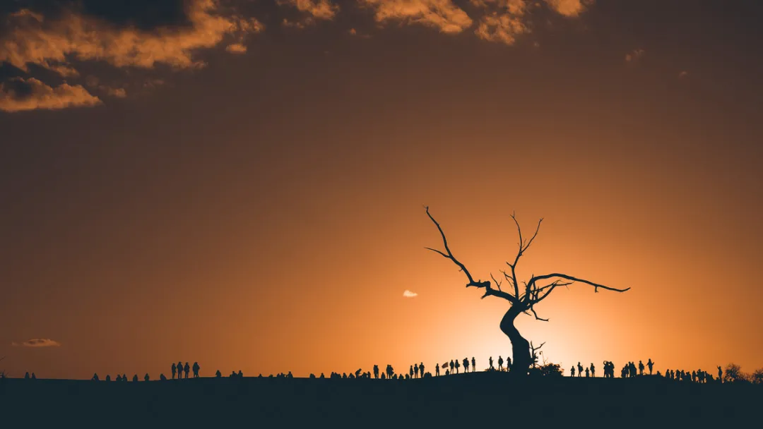 额济纳|忽然,想去额济纳了