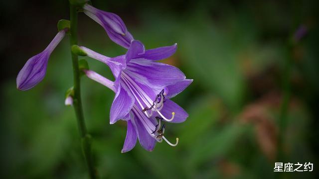 [生肖]在5月份，扬帆起航，不屈不挠，勇往直前的三大星座