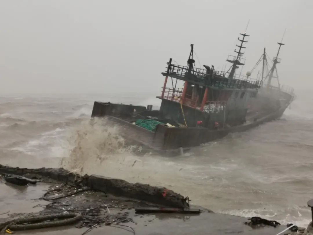 琅琊新闻网|临沂下发通知！防台风！未来几天雨雨雨雨！
