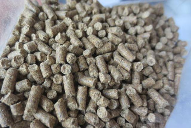 饵料|鲫鲤通杀鱼饵配方公开，钓鱼用它旁边钓位鱼都不开口