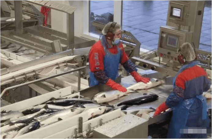 【俄国】瞒不住了？北京疫情“二次爆发”，俄国道出事实“真相”