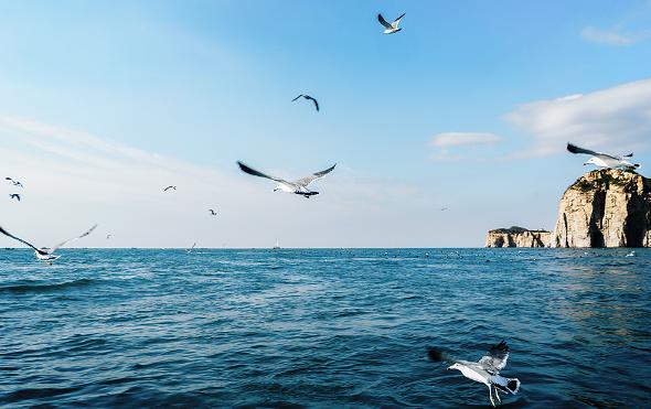 摩羯座@高深莫测,不露锋芒的三大星座。最为擅长驾驭人心,偏偏不动声色