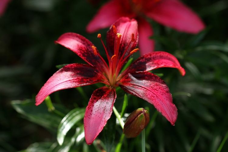 生肖@下周内，迎来转机，缘分桃花绝处逢生，真爱看见希望的3大生肖！