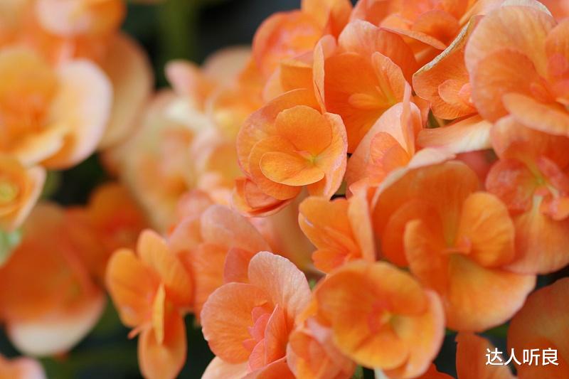 运势|9月开始赚得金山银山，事业马到成功，人生风光无比的4生肖