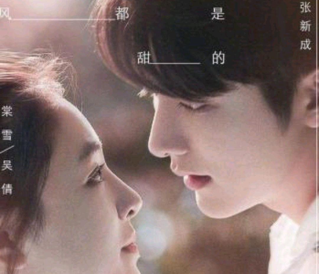 电视剧▲近期好看的电视剧和详细的介绍