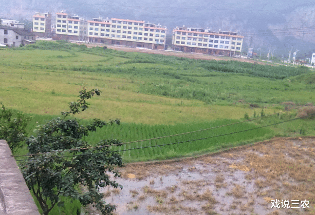 戏说三农|新福利来了？3笔钱农民别忘领！国家给你发“工资”，每人1200元