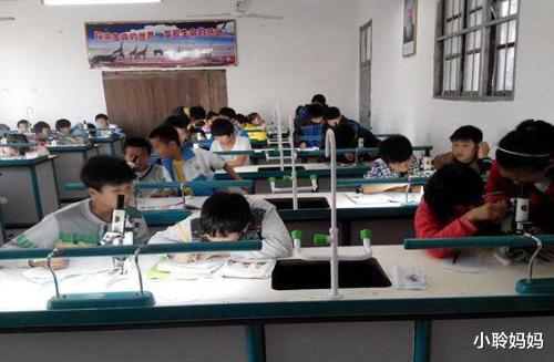 数学|初中生头脑是否“聪明”,有没有成学霸潜质,看这4科成绩就知道