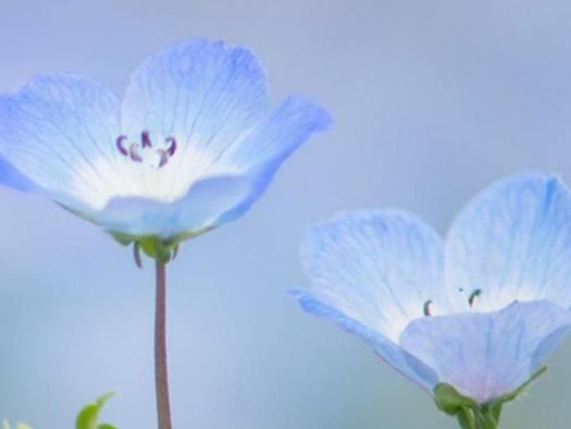 天蝎座|年后桃花盛开、职场也一帆风顺的4个星座，今年是双丰收的一年