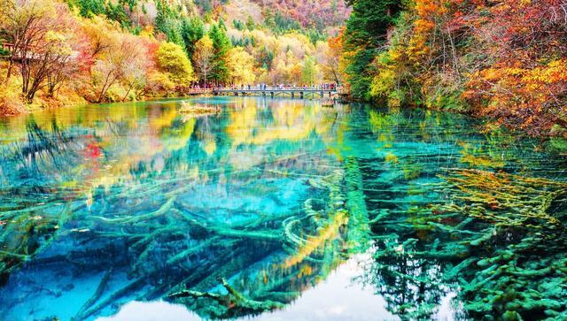 自驾|川西最美的7条自驾路线,每年秋季沿途美成油画,快收藏起来吧!