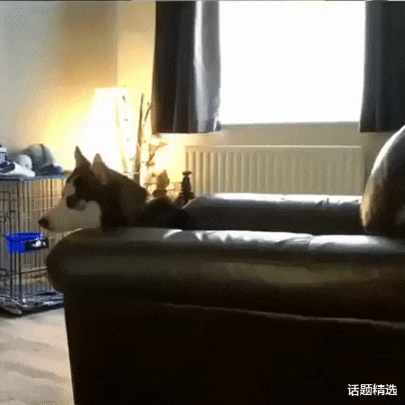 维修工|03年来批韩国维修工，每天补贴200美元，最幸福的事就是吃牛肉