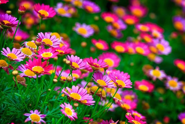 天蝎座|8月，剪不断理还乱，旧情最难忘，3生肖痴情不改，勇敢选择复合